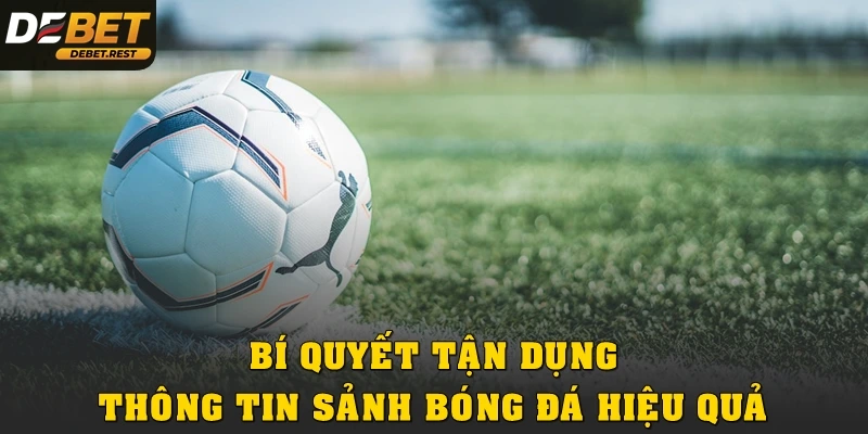 Bí quyết tận dụng thông tin sảnh bóng đá hiệu quả