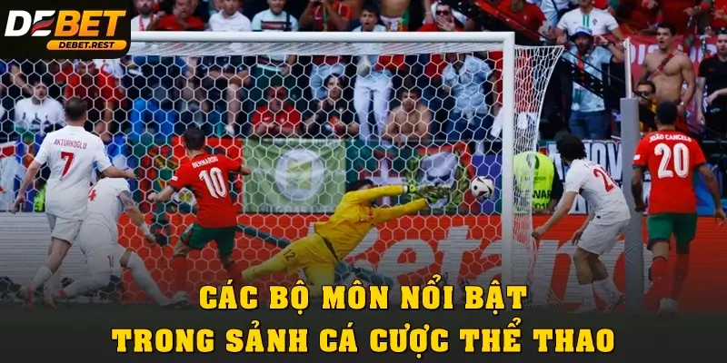 Các bộ môn nổi bật trong sảnh cá cược thể thao