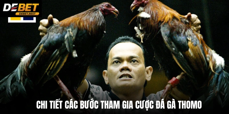 Chi tiết các bước tham gia cược đá gà thomo 