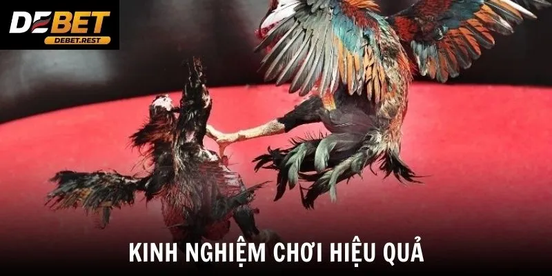 Kinh nghiệm chơi hiệu quả