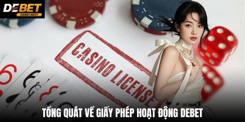 Tổng quát về giấy phép hoạt động Debet 