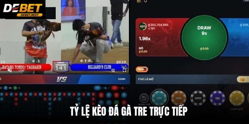 Tỷ lệ kèo đá gà tre trực tiếp